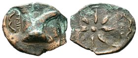 Pontos. Uncertain mint. Time of Mithradates VI Eupator circa 130-100 BC. AE bronze


Condition: Very Fine

Weight: 6.75 gr
Diameter: 25.00 mm