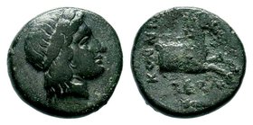 Ionia. Kolophon circa 330-280 BC.AE bronze

Condition: Very Fine

Weight: 2.33 gr
Diameter: 13.95 mm