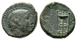 Seleucis and Pieria. Antioch. circa 100-0 BC.AE bronze 

Condition: Very Fine

Weight: 8.95 gr
Diameter: 19.34 mm