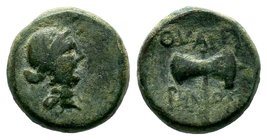 Lydia. Thyateira 200-100 BC.AE Bronze 

Condition: Very Fine

Weight: 4.33 gr
Diameter: 12.84 mm