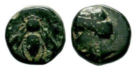 Ionia. Ephesos circa 390-300 BC. AE bronze

Condition: Very Fine

Weight: 1.43 gr
Diameter: 10.32 mm