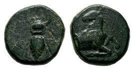 Ionia. Ephesos circa 390-300 BC. AE bronze

Condition: Very Fine

Weight: 1.64 gr
Diameter: 11.72 mm