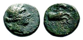 AEOLIS. Kyme. Ae (Circa 320-250 BC).

Condition: Very Fine

Weight: 2.53 gr
Diameter: 13.81 mm