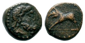 Pisidia. Komama circa 100 BC. AE bronze

Condition: Very Fine

Weight: 4.08 gr
Diameter: 14.55 mm