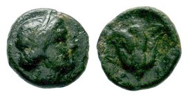 Islands off Caria, Rhodos. Rhodes. 350-300 B.C. AE 

Condition: Very Fine

Weight: 1.07 gr
Diameter: 10.60 mm