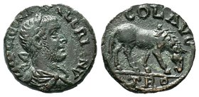 Valerian I Æ As of Alexandria, Troas. AD 253-260. IMP LIC VALERIANVS AVG, laureate, draped and cuirassed bust right / COL AVGO TRO, horse feeding to r...