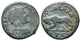 TROAS. Alexandria. Caracalla (198-217). Ae As. Obv: AV M AVP ANTONIN. Laureate and cuirassed bust right. Rev: COL ALE / AVG. Lupa Romana standing left...