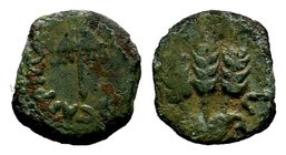 Judaea, Herodian Kingdom. Agrippa I. 37-44 C.E. AE prutah

Condition: Very Fine

Weight: 2.12 gr
Diameter: 16 mm