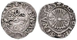 Catholic Kings (1474-1504). 1/2 real. Granada. (Cal-443). Ag. 1,67 g. VF. Est...70,00.