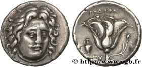 CARIA - CARIAN ISLANDS - RHODES
Type : Didrachme 
Date : c. 305-274 AC. 
Mint name / Town : Rhodes, Carie 
Metal : silver 
Diameter : 20  mm
Orientati...