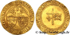 HENRY VI OF LANCASTER
Type : Angelot d'or 
Date : 24/05/1427 
Mint name / Town : Saint-Lô 
Metal : gold 
Millesimal fineness : 1000  ‰
Diameter : 22  ...