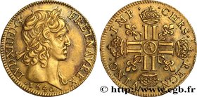 LOUIS XIII
Type : Louis d'or à la mèche courte, 1er type 
Date : 1640 
Mint name / Town : Paris, Monnaie du Louvre 
Quantity minted : 563260 
Metal : ...