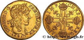 LOUIS XIII
Type : Louis d'or à la mèche longue, 2e type 
Date : 1641 
Mint name / Town : Paris, Monnaie du Louvre 
Quantity minted : 43700 
Metal : go...