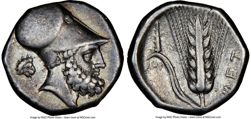 LUCANIA. Metapontum. Ca. 340-330 BC. AR stater (20mm, 7.78 gm, 1h). NGC Choice V...