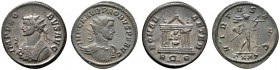 Römische Münzen 
 Kaiserzeit 
 Probus 276-282 
 Lot (2 Stücke): Antoniniane -Rom- bzw. -Ticinum-. Brustbild im Mantel mit Strahlenkrone und Adler­z...