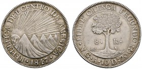 Ausländische Münzen und Medaillen 
 Zentralamerikanische Republik 
 8 Reales 1847 -Guatemala-. NG-A. KM 4.
 feine Patina, winziger Randfehler, gute...
