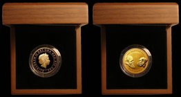 Two Pounds 2009 Charles Darwin - 200th Anniversary of his Birth Gold Proof S.K25 FDC in the Royal Mint box of issue with certificate