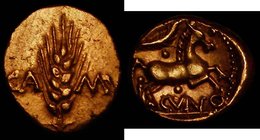 Celtic Gold Stater. Cunobelin - Wild Type Obverse: Corn ear dividing CA MV. Reverse: Horse right, with branch above. Privy Mark Pellet below branch an...