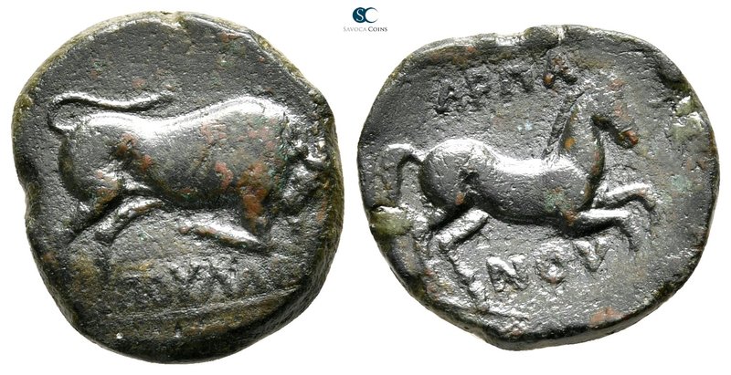 Apulia. Arpi 275-250 BC. 
Bronze Æ

22 mm., 6,14 g.



very fine