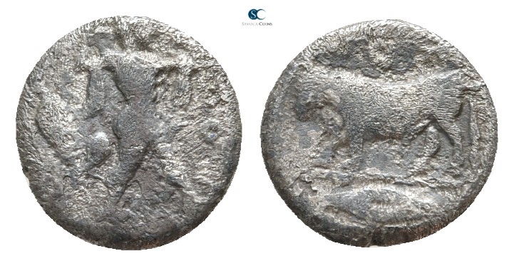 Lucania. Poseidonia 445-420 BC. 
Diobol AR

12 mm., 1,02 g.



fine