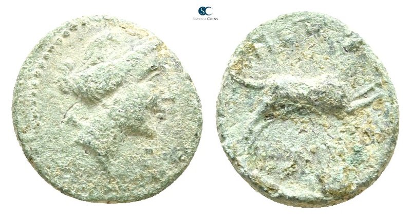 Bruttium. Petelia circa 214-208 BC. 
Semuncia Æ

13 mm., 1,74 g.



nearl...