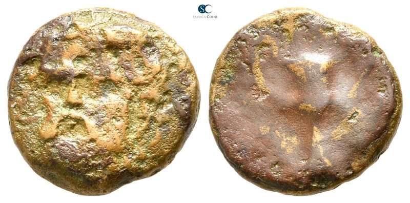 Macedon. Aphytis 360 BC. 
Bronze Æ

18 mm., 5,07 g.



fine