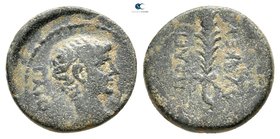 Phrygia. Hierapolis. Caius, as Caesar 20 BC-AD 4. Bronze Æ