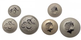 AUSTRALIA - Set 3 monete Ag composto da: 50 Cents (1/2 oz troy); 1 Dollaro (1 oz troy); 2 dollari (2 oz troy); 2013 anno del Serpente - In Capsula
FD...