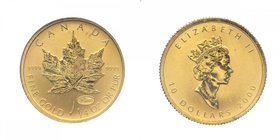 CANADA - Canada - Elisabetta II - 1/4 Oz ( 10 Dollars ) 2000 - Au - In cofanetto Gr.7,77