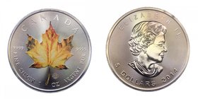 CANADA - Canada - 5 Dollars 2014 - Maple Leaf 1 Oz Ag