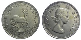 SOUTH AFRICA - Colonia Inglese - Elisabetta II - 5 Shillings 1953