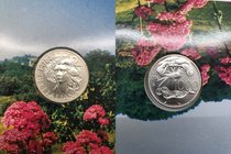 Repubblica Italiana - Moneta Commemorativa - "Flora e Fauna" - 1000 Lire 1994 - Ag - In confezione di Zecca
