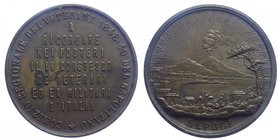 Medaglia Napoli per il comizio dei veterani 1848-49 - Ae Gr.23.60 Ø mm37