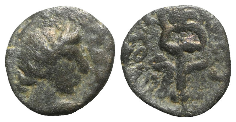 Gaul, Massalia, after 49 BC. Æ (10mm, 1.86g, 12h). Laureate head of Apollo r. R/...