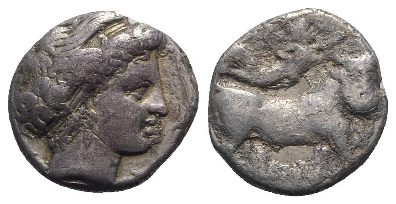 Southern Campania, Neapolis, c. 300 BC. AR Didrachm (19mm, 7.13g, 9h). Diademed ...