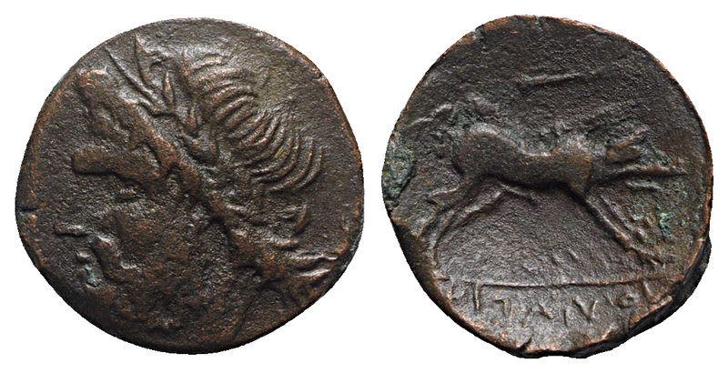 Northern Apulia, Arpi, 3rd century BC. Æ (19mm, 6.04g, 3h). Laureate head of Zeu...