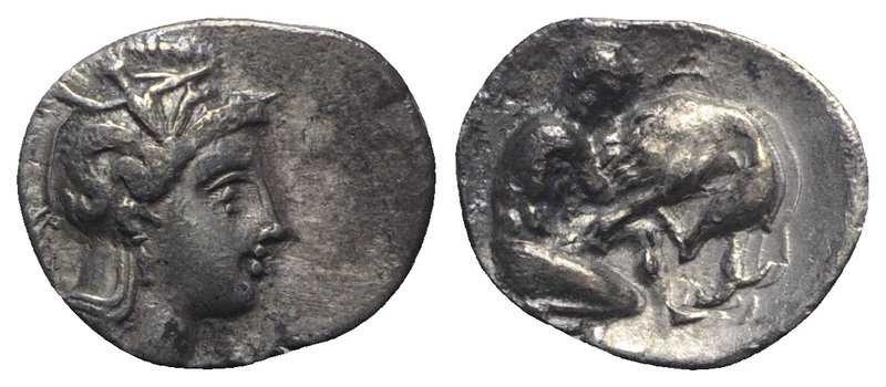 Southern Apulia, Tarentum, c. 380-325 BC. AR Diobol (12mm, 1.12g, 12h). Head of ...