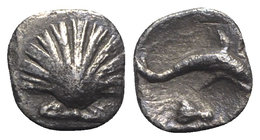 Southern Apulia, Tarentum, c. 325-280 BC. AR Hemilitron (8mm, 0.66g, 6h). Shell. R/ Dolphin leaping r. HNItaly 980. VF