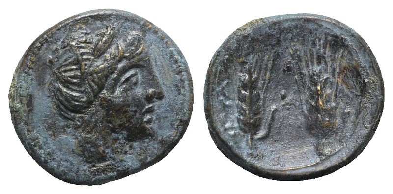 Southern Lucania, Metapontion, c. 225-200 BC. Æ (17mm, 4.48g, 6h). Wreathed head...