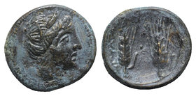 Southern Lucania, Metapontion, c. 225-200 BC. Æ (17mm, 4.48g, 6h). Wreathed head of Demeter r. R/ Two barley ears. Johnston 79; HNItaly 1715. Near VF