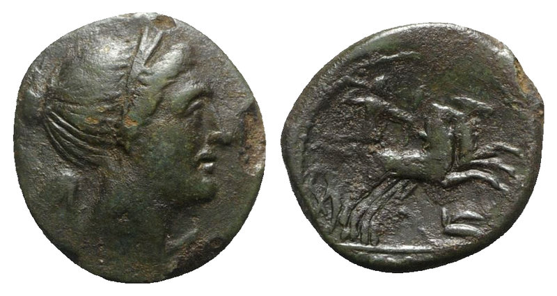 Bruttium, The Brettii, c. 211-208 BC. Æ Half Unit (15mm, 2.64g, 5h). Diademed an...
