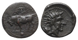 Sicily, Gela, c. 420-405 BC. Æ Onkia (10mm, 1.19g, 12h). Bull standing l.; barley-grain above. R/ Horned head of Gelas r.; barley-grain behind. CNS II...