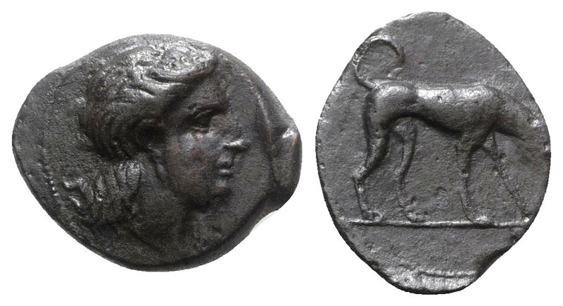 Sicily, Segesta, c. 390-380 BC. Æ Tetras (19mm, 4.17g, 3h). Head of nymph r. R/ ...