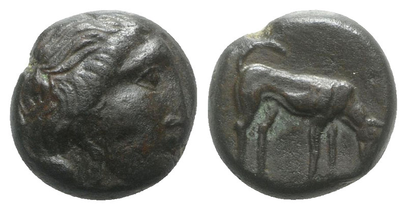 Sicily, Segesta, c. 390-380 BC. Æ Tetras (14mm, 5.74g, 3h). Head of nymph r. R/ ...