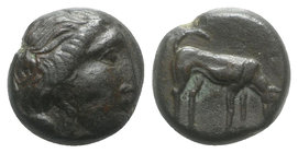 Sicily, Segesta, c. 390-380 BC. Æ Tetras (14mm, 5.74g, 3h). Head of nymph r. R/ Hound standing r., head lowered. CNS I, 46; HGC 2, 1200. VF