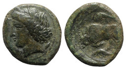 Sicily, Syracuse. Agathokles (317-289 BC). Æ Hemilitron (23mm, 9.69g, 1h), c. 317-310. Head of Kore l., wearing wreath of grain ears; barley grain beh...