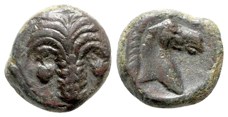Sicily, Carthaginian Domain, c. 4th-3rd century BC. Æ (15mm, 4.51g, 1h). Palm tr...
