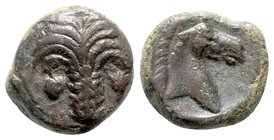 Sicily, Carthaginian Domain, c. 4th-3rd century BC. Æ (15mm, 4.51g, 1h). Palm tree with two dates, three branches. R/ Horse head r. CNS III, 12; HGC 2...