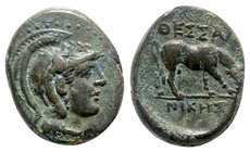 Macedon, Thessalonica, c. 187-31 BC. Æ (19mm, 6.11g, 12h). Helmeted head of Athena r. R/ Horse grazing r. SNG ANS 794. Green patina, about VF