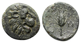 Thrace, Lysimacheia, c. 309-220 BC. Æ (15mm, 3.47g, 3h). Head of lion r. R/ Grain ear. SNG Copenhagen 918. Green patina, near VF